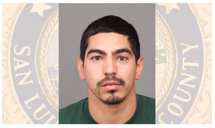 Felony Domestic Violence Suspect Arrested