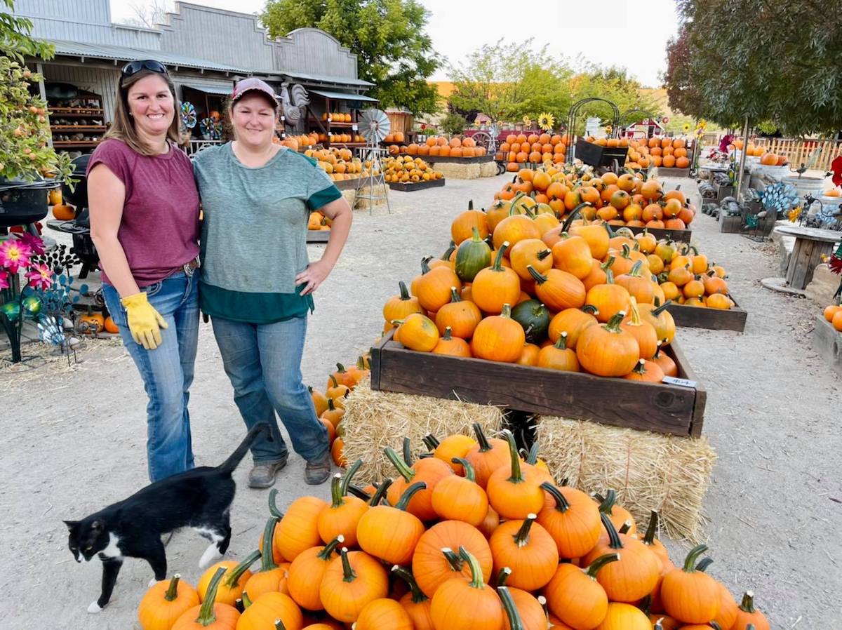Local Farm Shares Effects from Recent Heat Wave