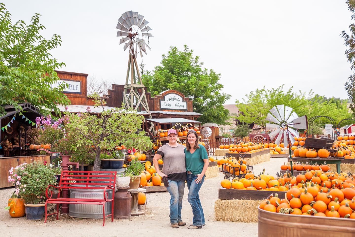 Jack Creek Farm Announces their “Pumpkin Palooza” and “Field Trip in a Box”