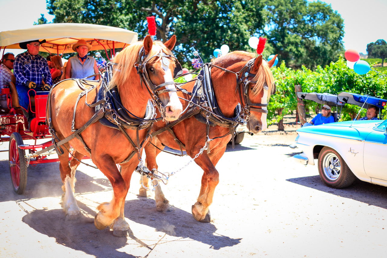 Happy Birthday America, from Sculpterra Winery