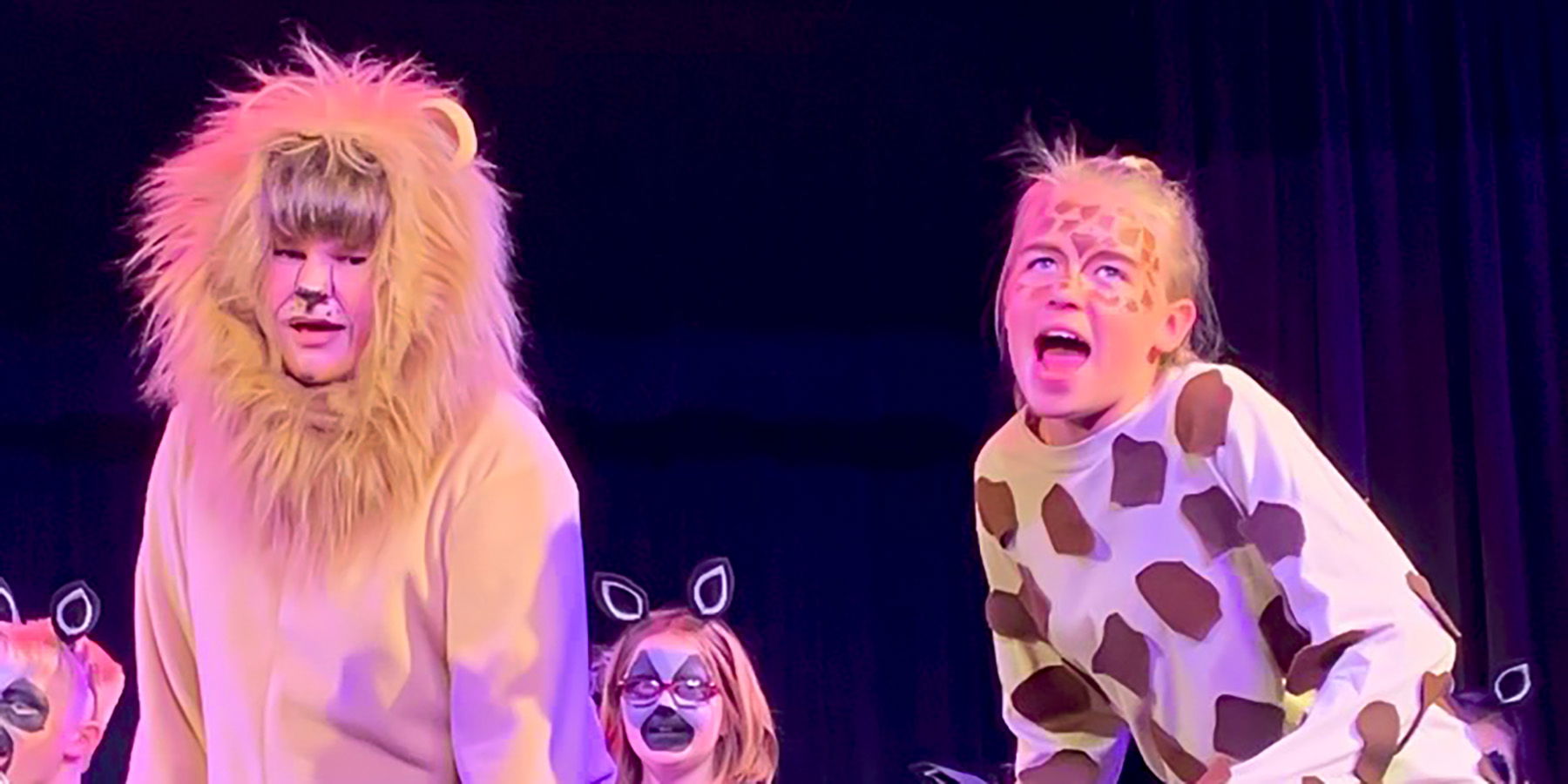 Oh Sugar Honey Ice Tea! Madagascar Hit the Stage