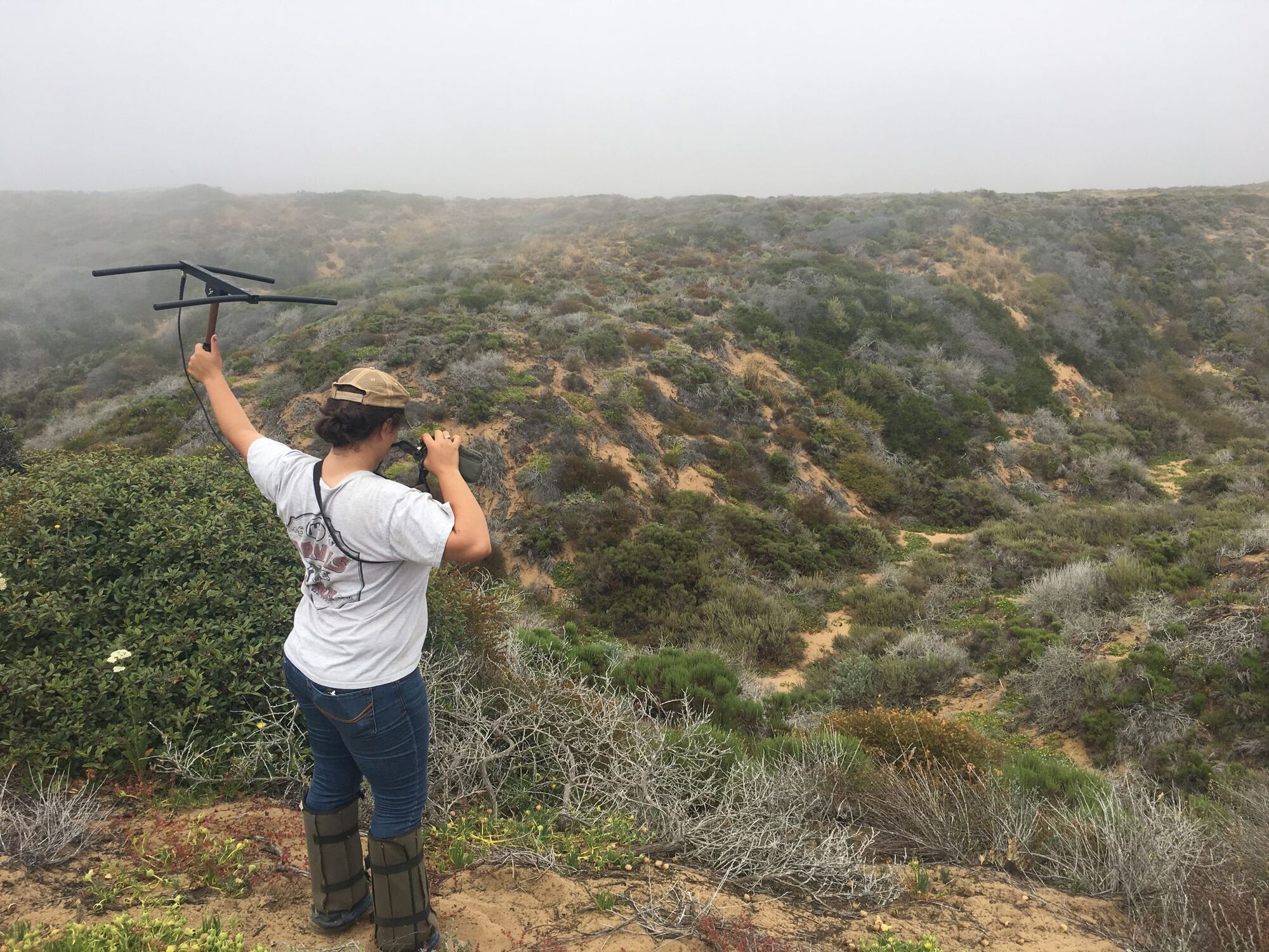 Rattlesnakes May Like Climate Change, Cal Poly Study Says