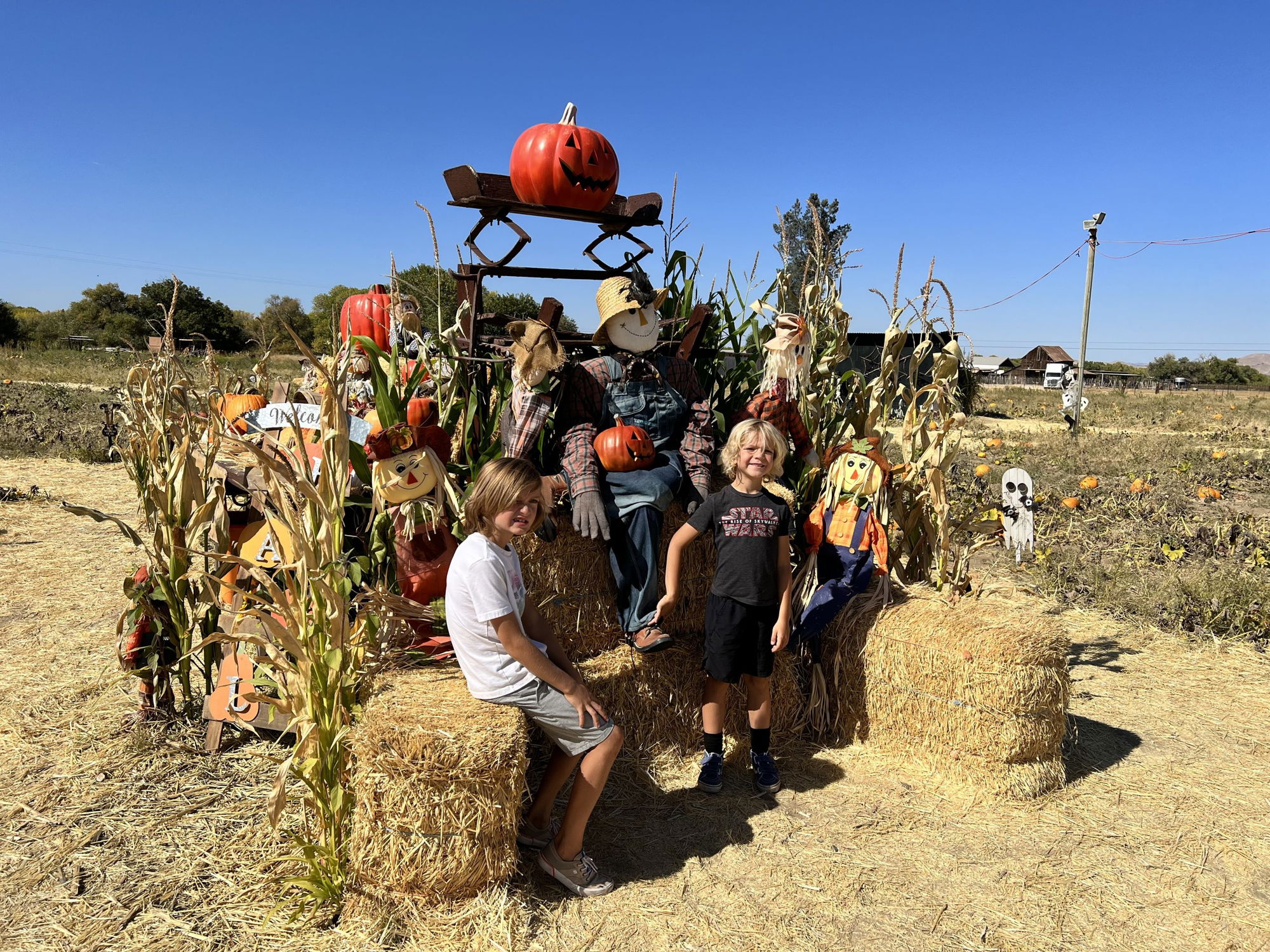 Exploring North County’s Best Pumpkin Patches
