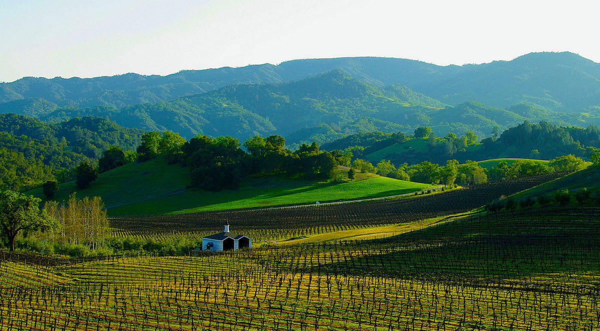 Paso Robles Winery Partnering with Miss America Foundation