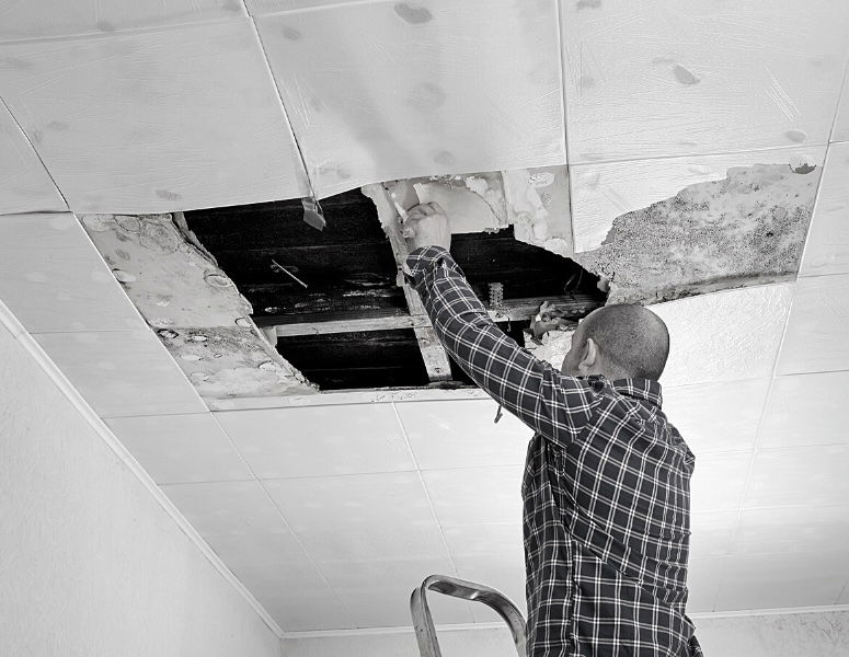 Must! Charities to Address Urgent Needs Following Unprecedented Storm Damage