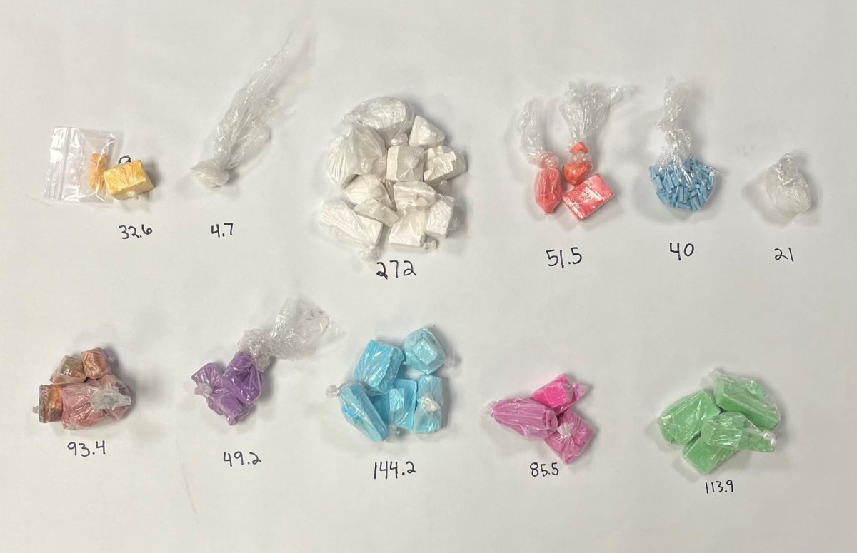 Sheriff's Detectives Apprehend Suspect in Drug Trafficking Operation near Paso Robles