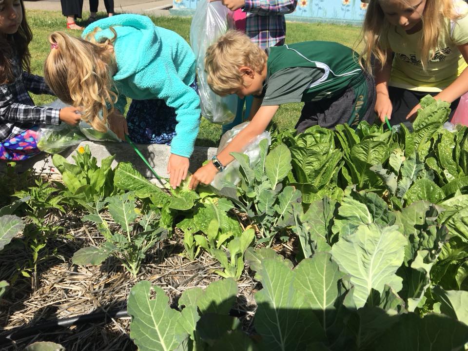Paso Elementary Schools Welcome One Cool Earth