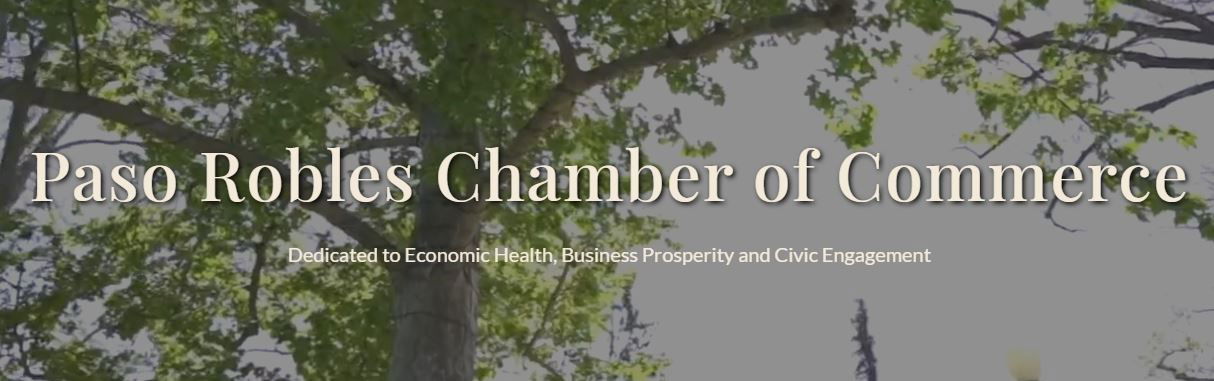 Stroud Joins the Chamber as the New Government Affairs and Public Policy Coordinator