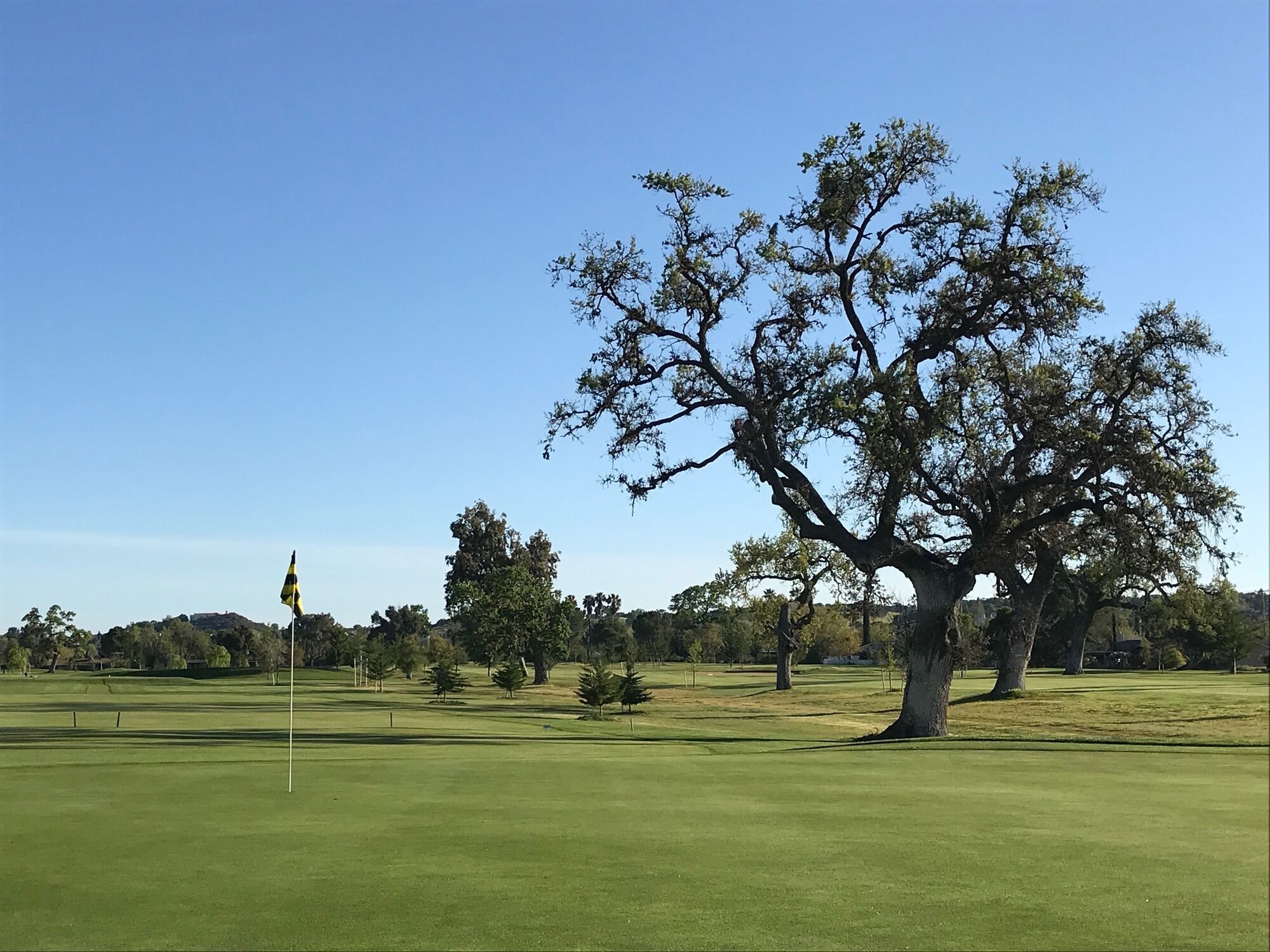 North County Golf Courses Open For Business