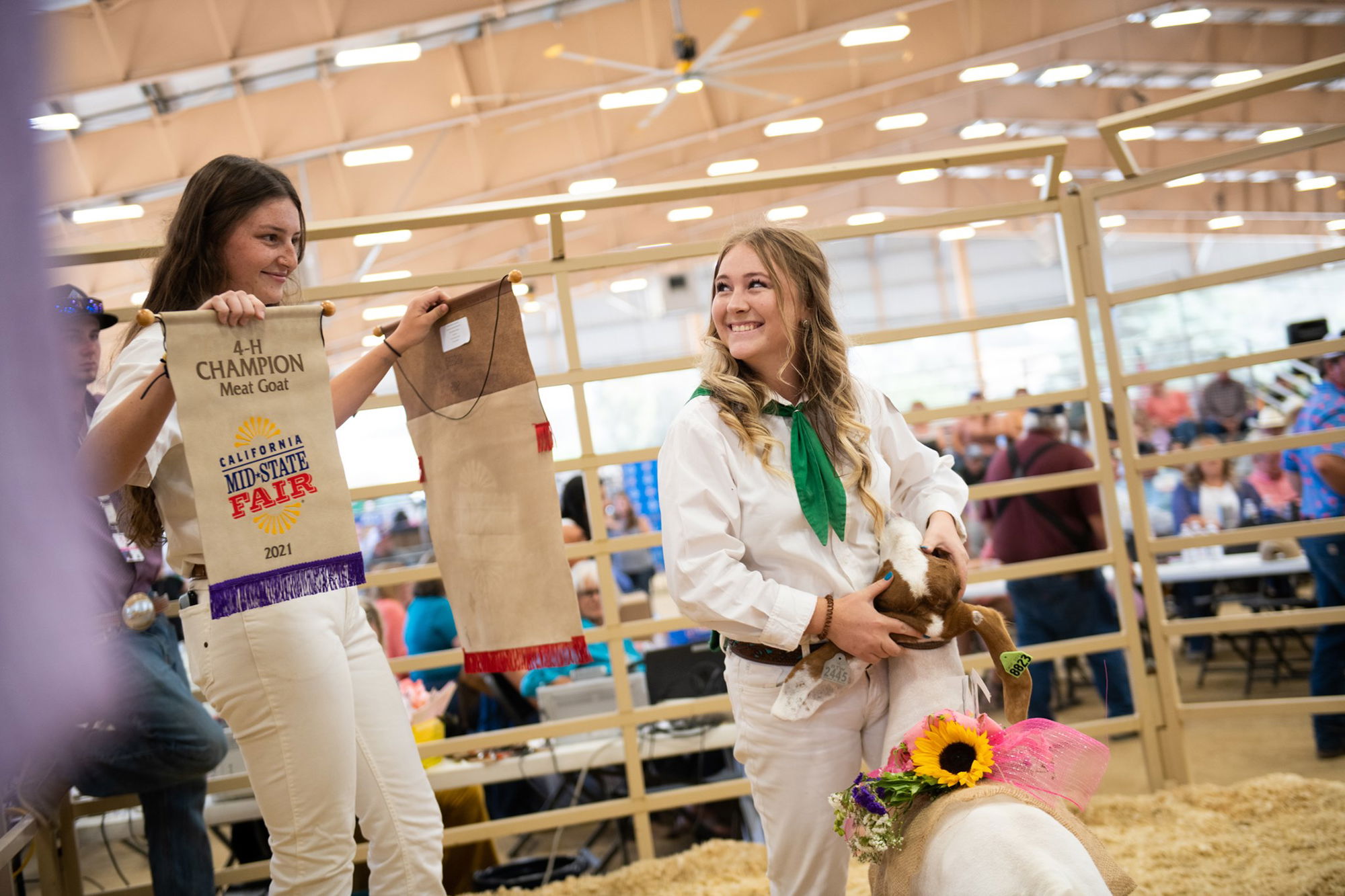 Mid-State Fair Junior Livestock Auction Far Surpasses Expectations