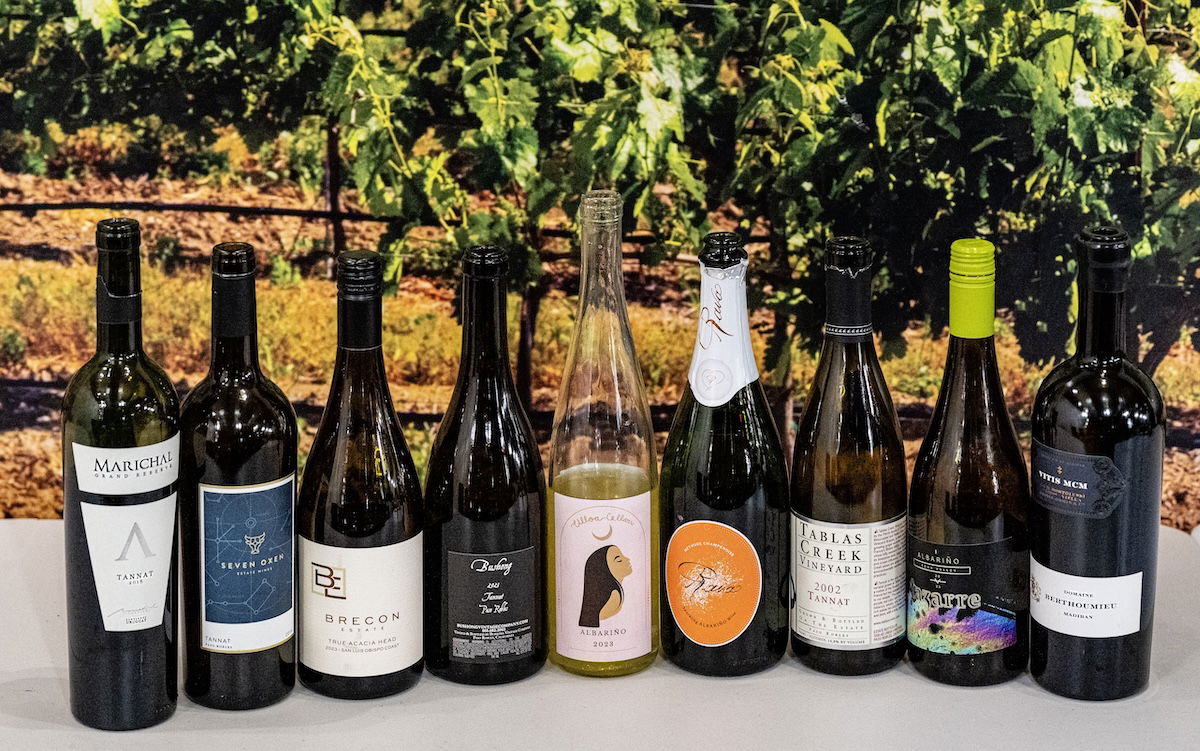 Alternative Tastes Wine Fest: A tantalizing tango of Tannat and Albariño