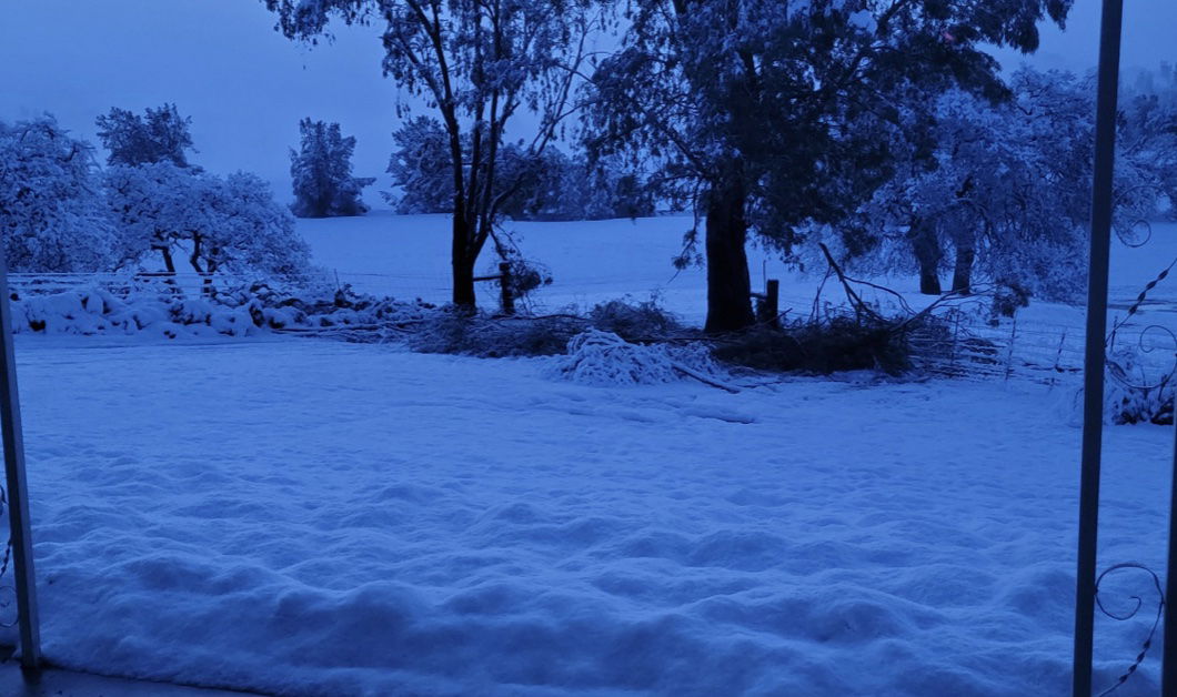 North County Wakes Up to Snow Saturday Morning