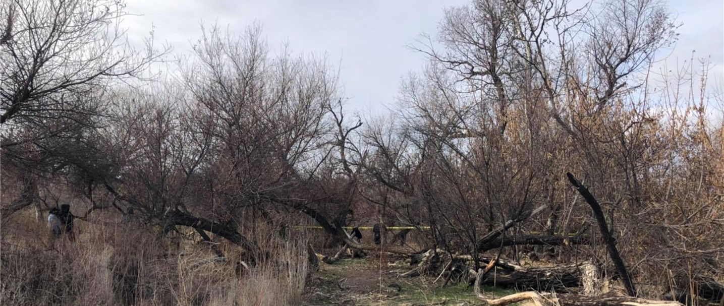 Paso Robles PD Investigating Body Found in Riverbed