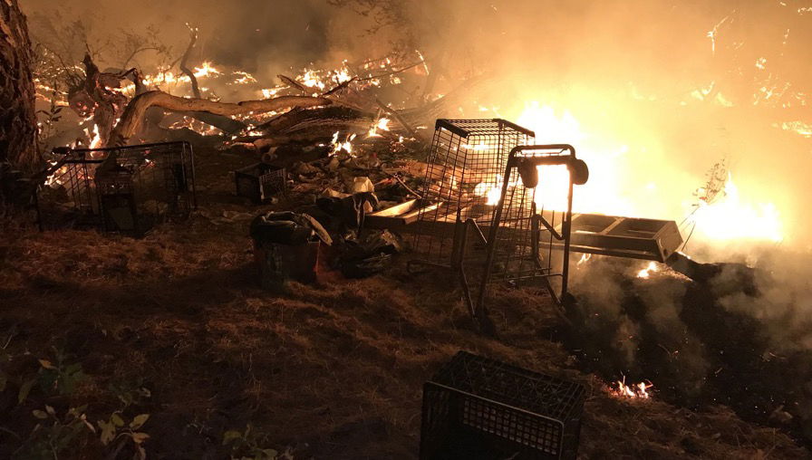Paso Robles Riverbed Fire South of Niblick Road