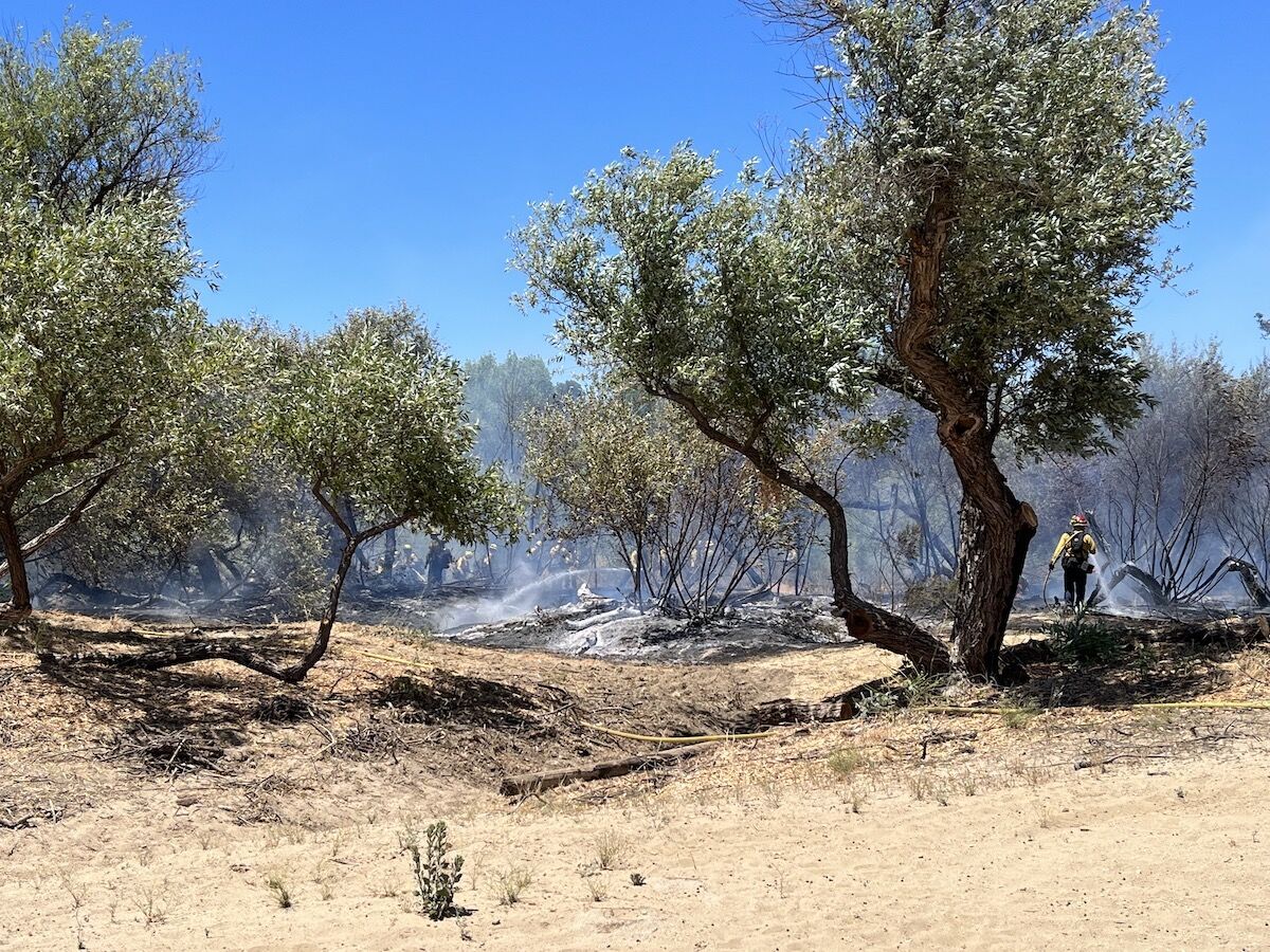 Vegetation Fire Salinas Riverbed Extinguished