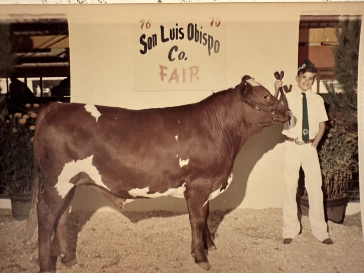Paul Clark: A humble Shandon kid