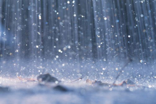 Rain and Possible Thunderstorms Throughout Wednesday