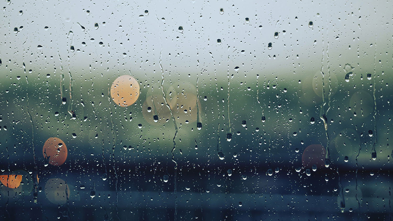 Paso Robles Rainfall Totals