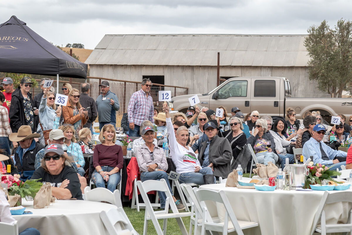 Redwings Horse Sanctuary Celebrates Second Annual Block Party