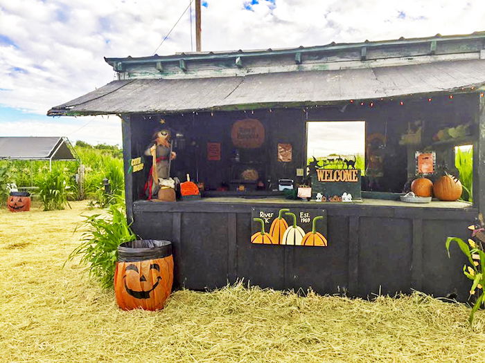 River K, pumpkin patch, corn maze