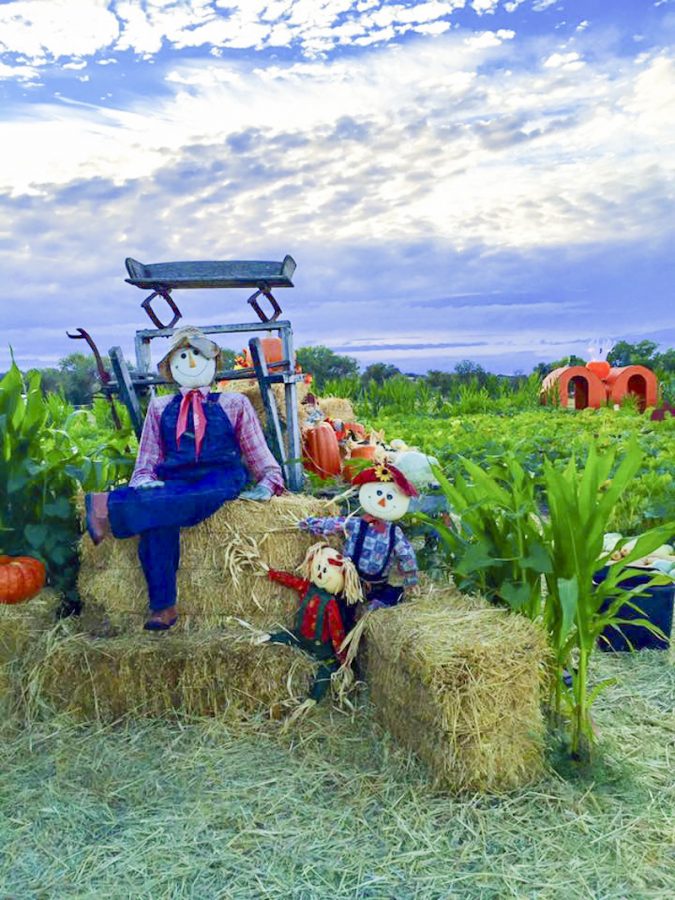 The spirit of River K Pumpkin Patch and Corn Maze
