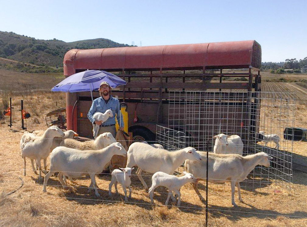 Disabled Air Force Veteran Can Manage Livestock Thanks to Farm Credit Grant