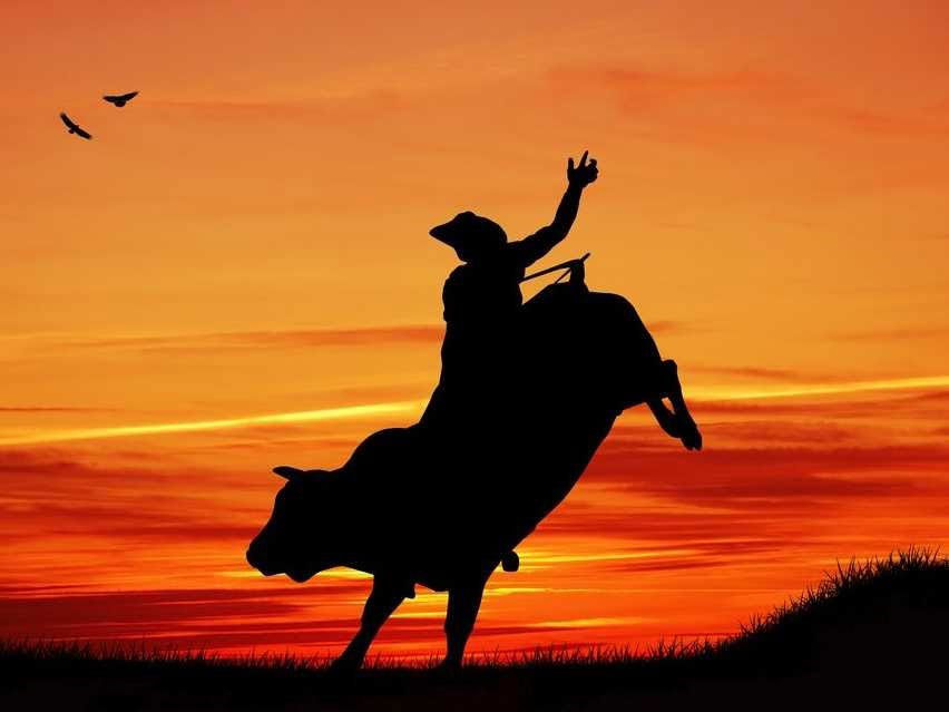SLO County Sheriff to Host Inaugural Rodeo with SLO Cattleman's Association