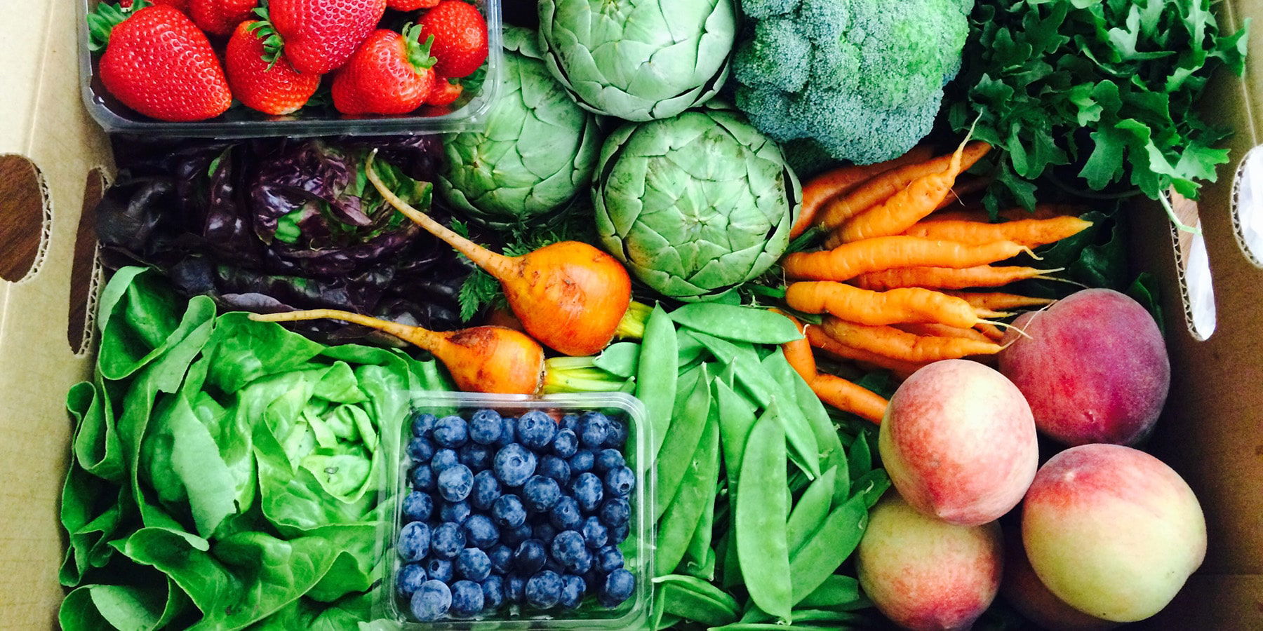 SLO Safe Ride Donates Veggie Boxes To Healthcare Workers