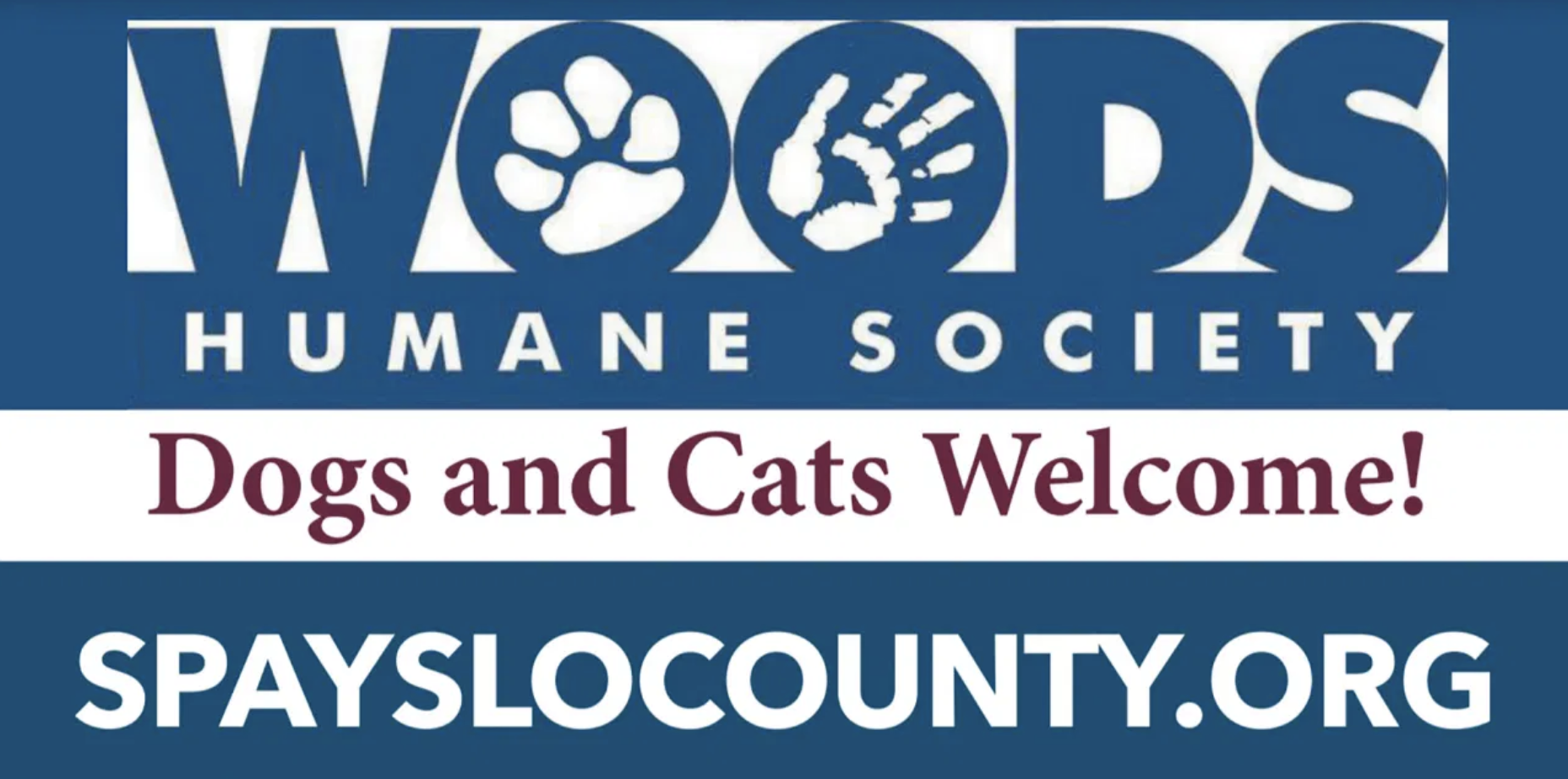 California’s ‘Pandemic Puppies’ Prepare for a ‘Post-COVID’ World