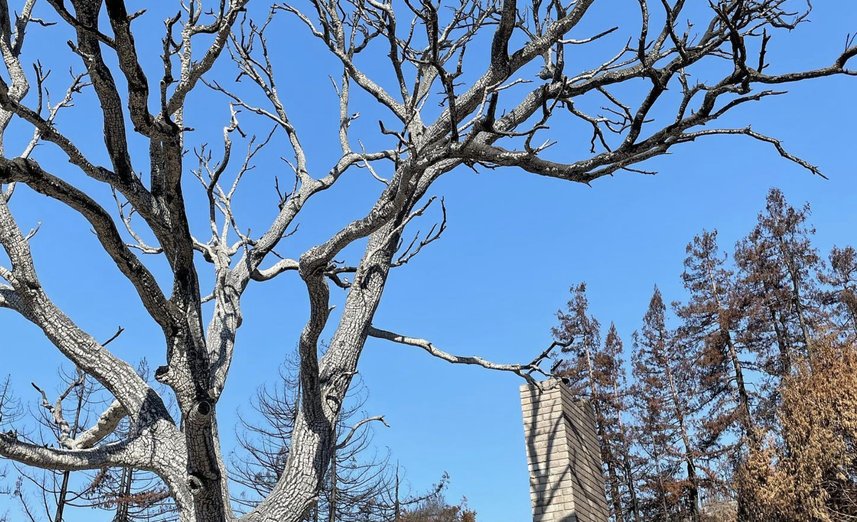 Cal Poly’s Swanton Pacific Ranch Receives $4.7 Million Grant to Assist with Post-Fire Recovery Efforts