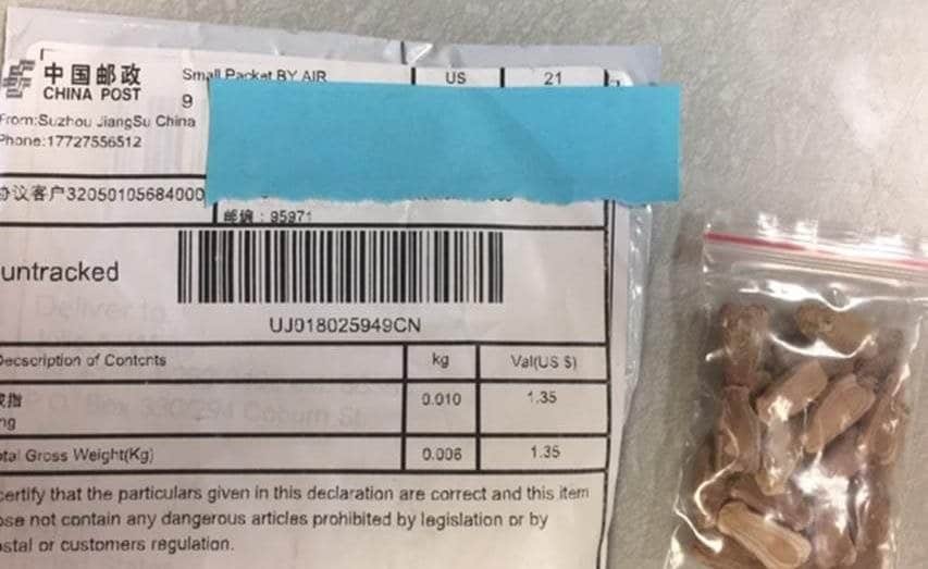 'Mysterious and Unsolicited Seed' Shipments from China