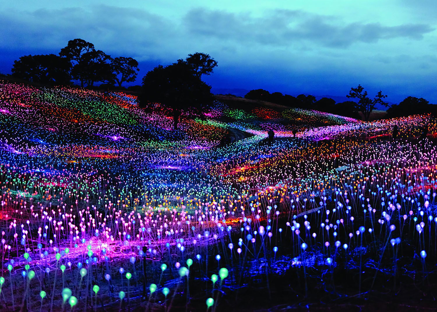Sensorio Extends Field of Light Through June