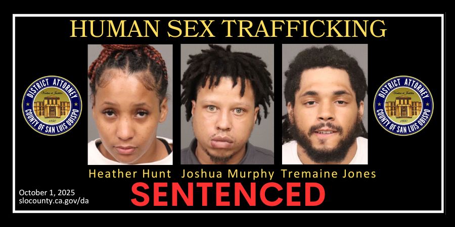 Historic three-jury trial ends in prison sentences for human traffickers