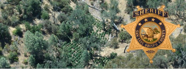 Arrest Made in Two Illegal Trespass Cannabis Grows in Northern San Luis Obispo County
