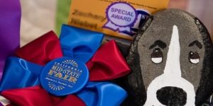 ‘Special Stars’ shine again at California Mid-State Fair