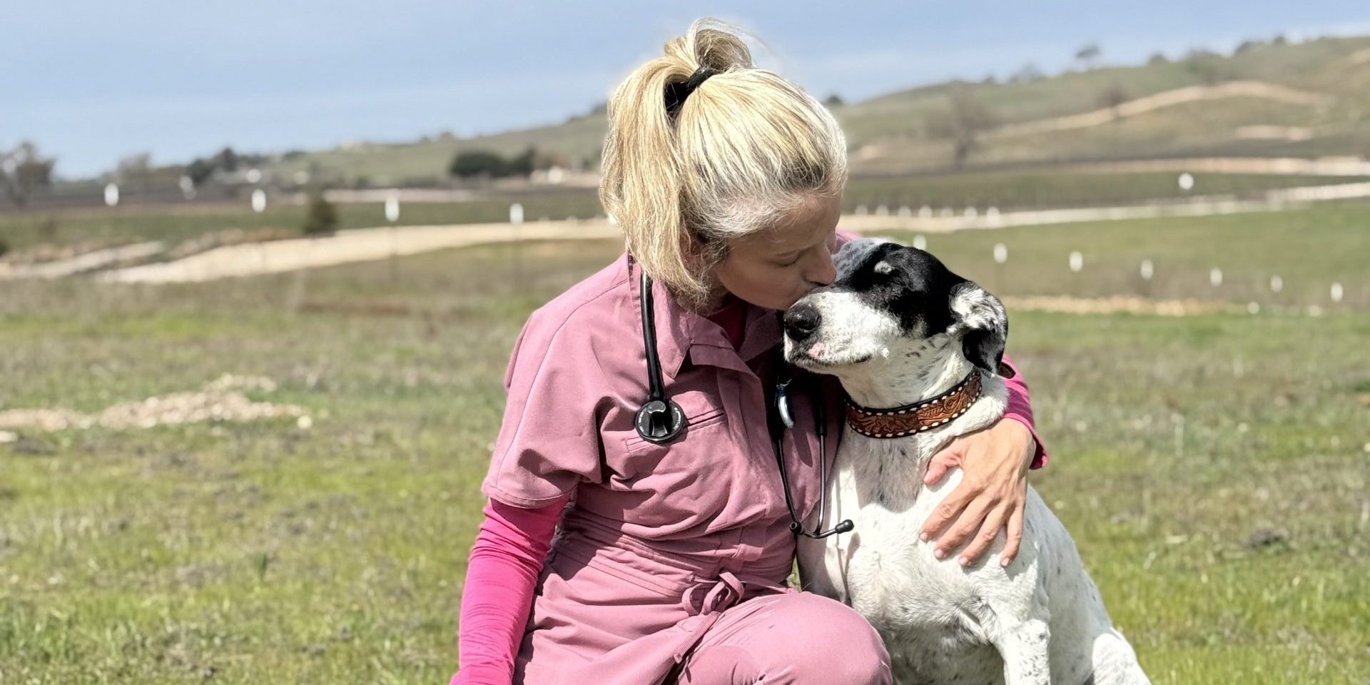 Business Spotlight: The Spotted Dog Veterinary Services