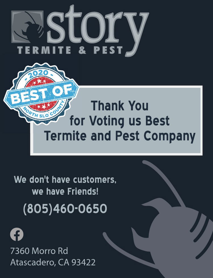 Story Termite & Pest Best of 2020
