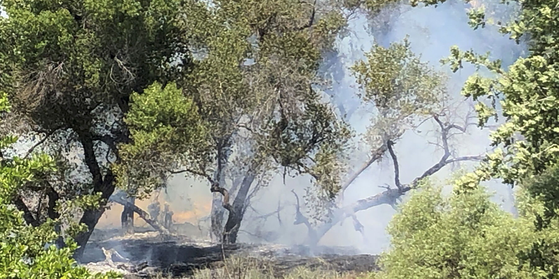 Sulfur Springs Fire under Investigation