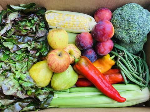 Talley Box Program is Now SNAP Certified