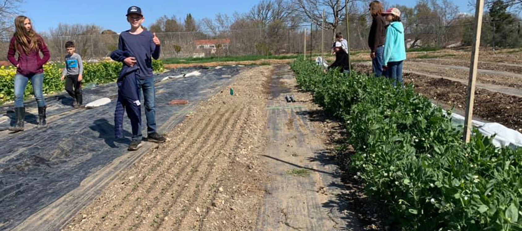 Templeton Hills Community Farm Prepares for First Anniversary Celebration