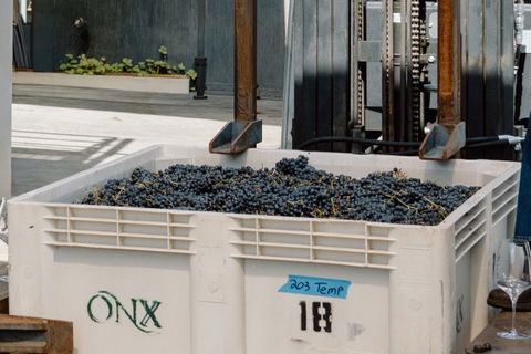 Harvest feast wines