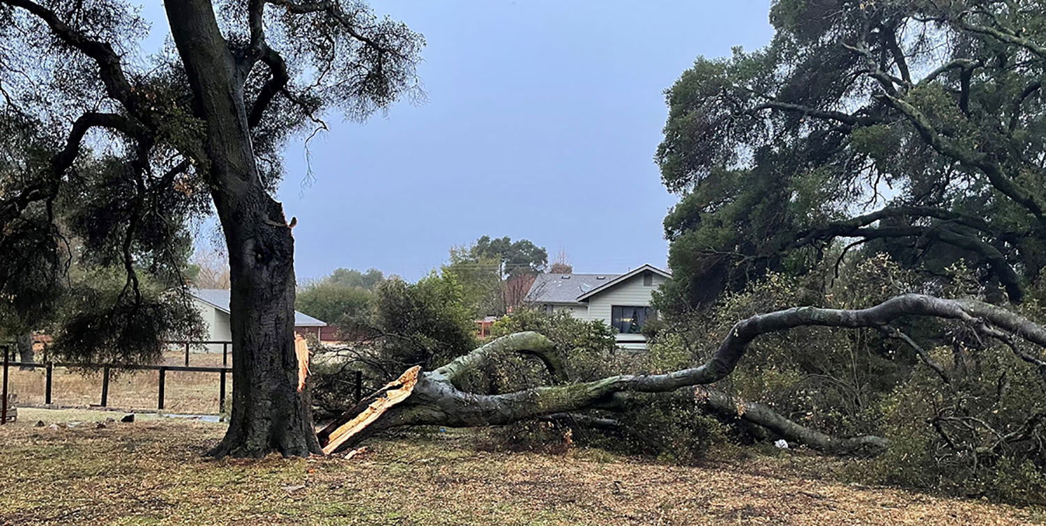 Heavy Rainfall, Flash Flood Warnings and Updates