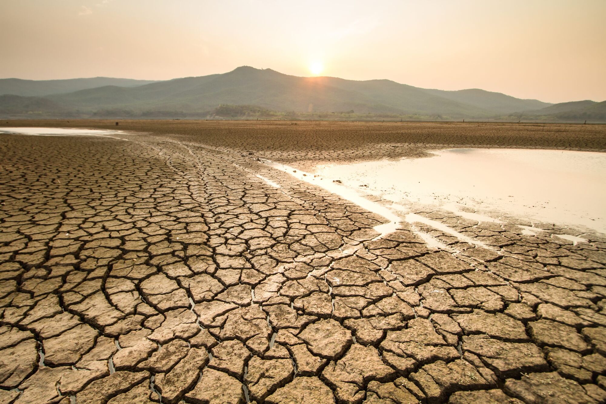 Fong Decries Lack of Water Storage in Proposed Budget