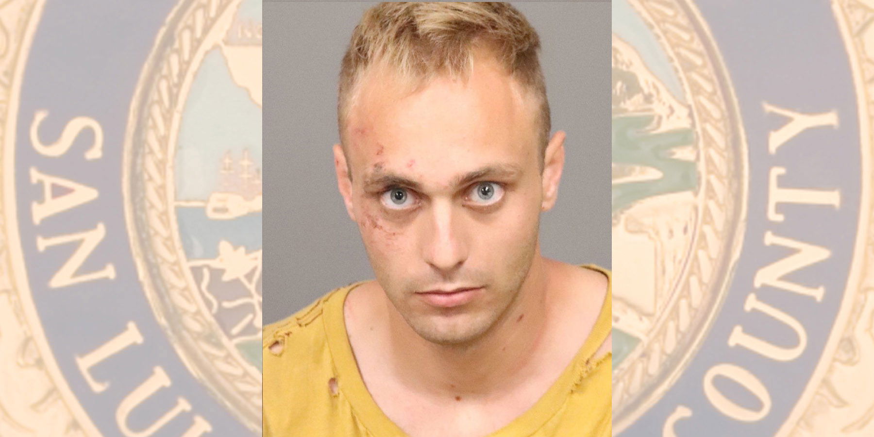 Templeton Man Arrested After Fleeing Sheriff Deputies