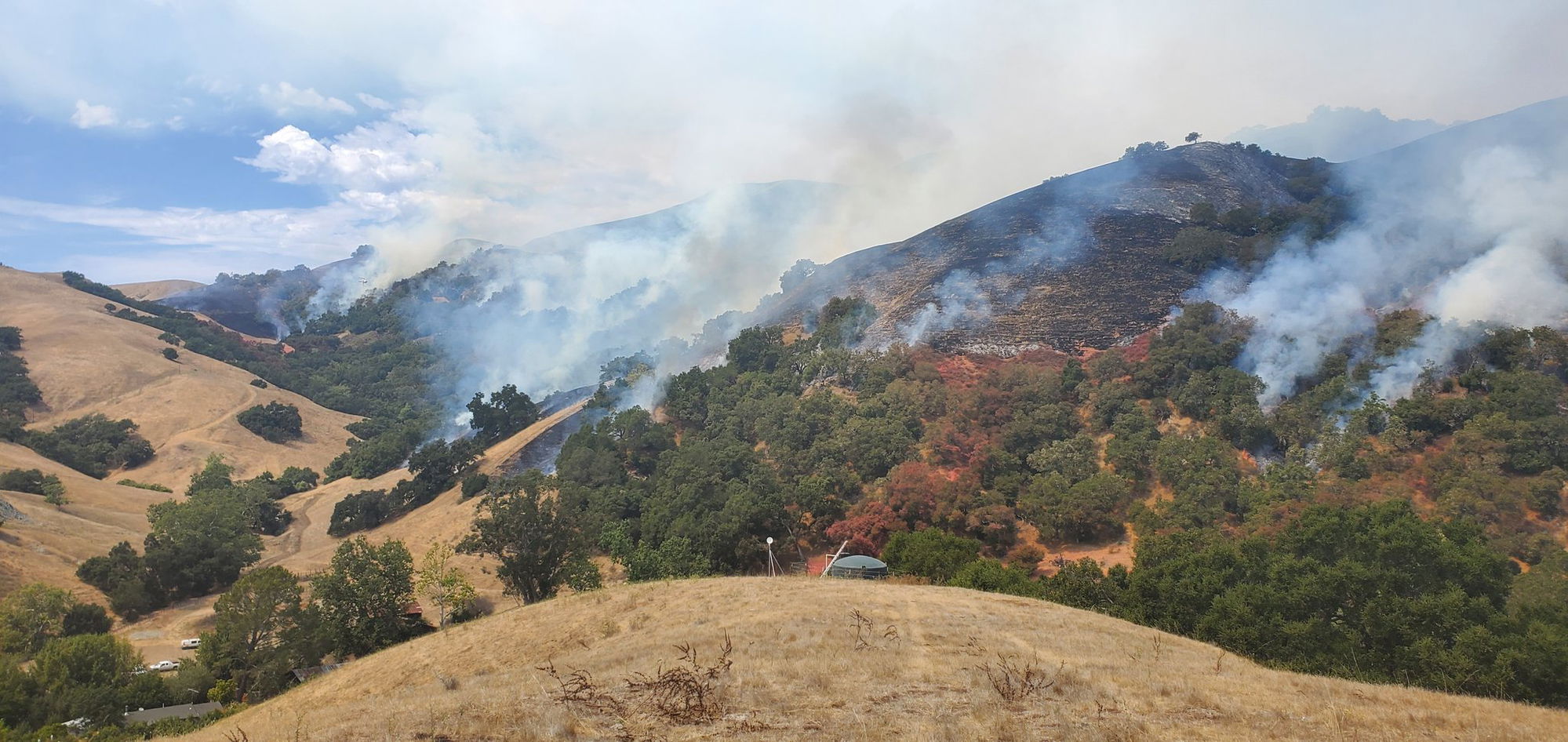 Cal Fire SLO Working to Contain Whale Fire