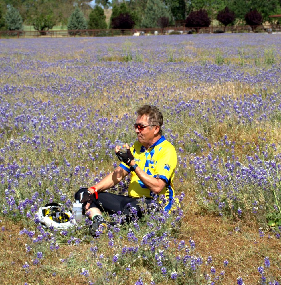 San Luis Obispo Bicycle Club's Wildflower Century returns on April 20