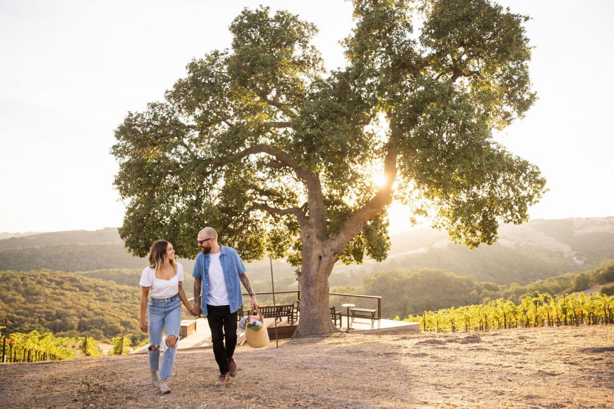 Paso Wine Launches New Brand Video