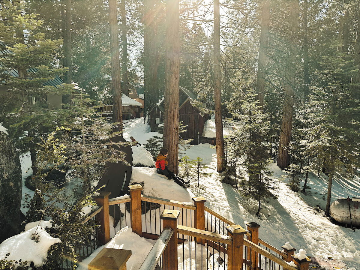 Embrace the Magic of Winter Solstice