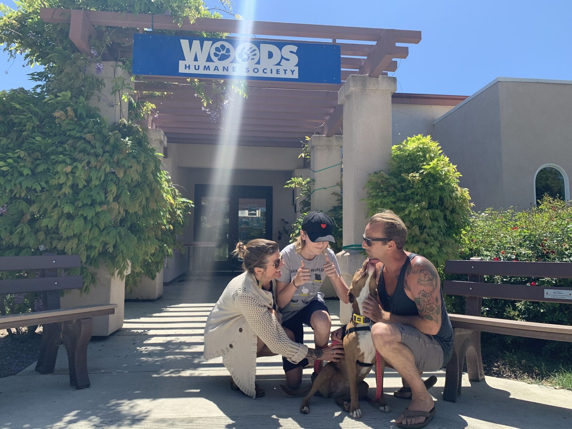 Perfect Time to Adopt From Woods Humane Society