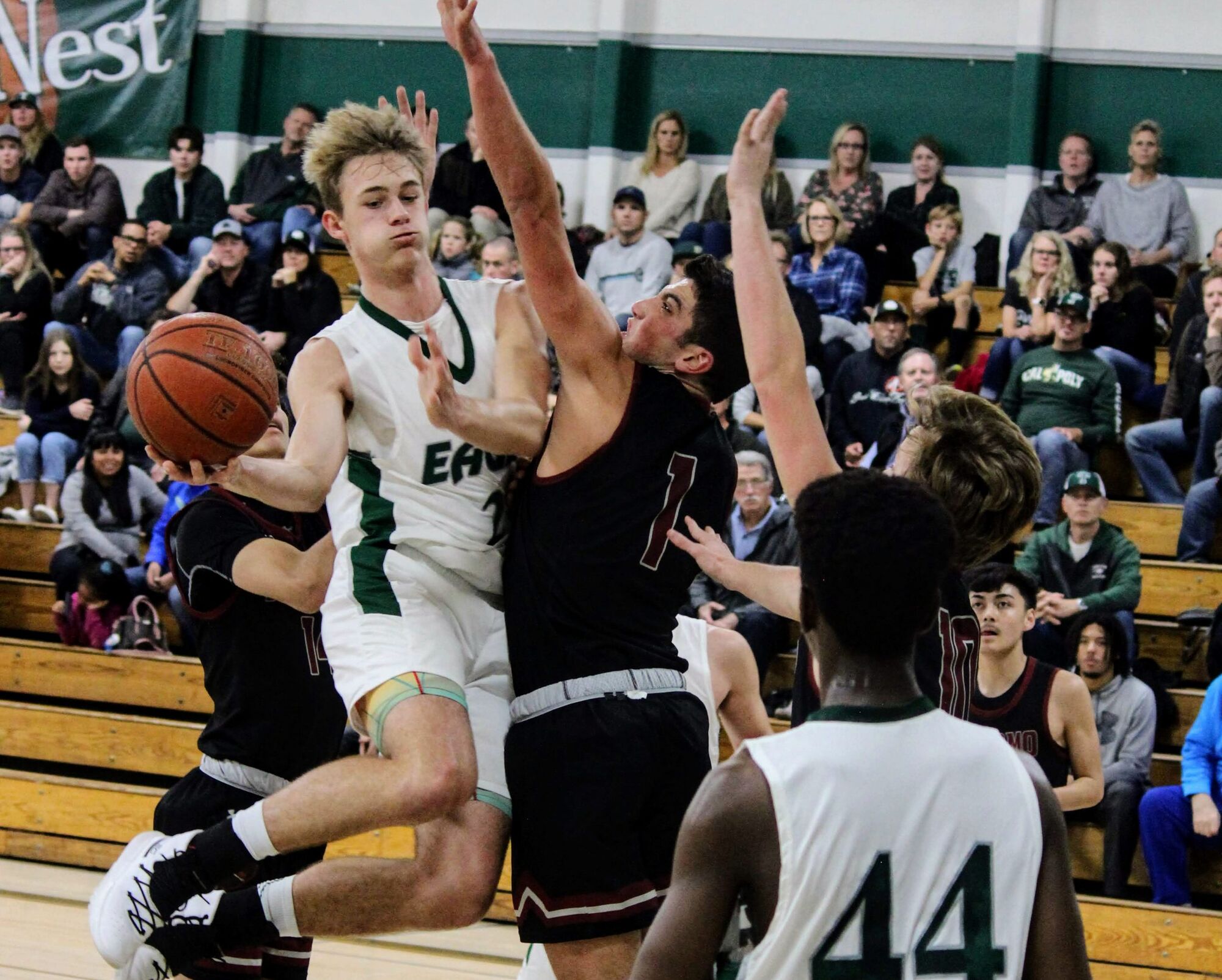 Athletes of the Week